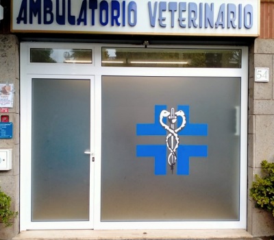 ng infissi ardea
